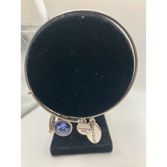 Rodan + Fields Charm Silver-Tone Bangle Bracelet! - Picture 8 of 15